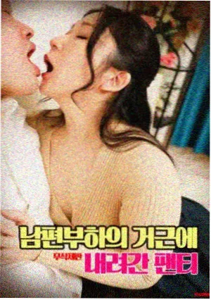 全知读者视角封面